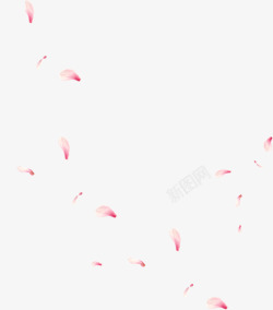 中国风漂浮粉色花瓣素材