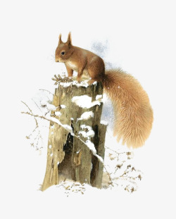 木桩背景冬天松鼠高清图片