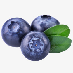 蓝莓免抠图片蓝莓水果食物图高清图片