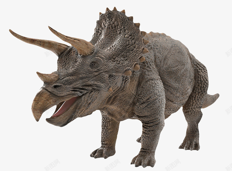 棕色三角恐龙png免抠素材_88icon https://88icon.com 3D恐龙 三角恐龙 动物 恐龙 棕色三角恐龙 食肉动物