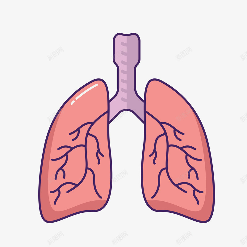 医疗肺模型装饰案矢量图ai免抠素材_88icon https://88icon.com 医疗 卡通 手绘 治愈 纹理 纹路 线条 肺 装饰 质感 矢量图