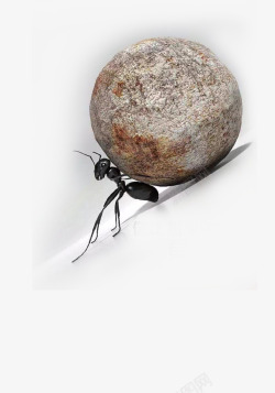 励志教育奋力抵挡石头的蚂蚁素材