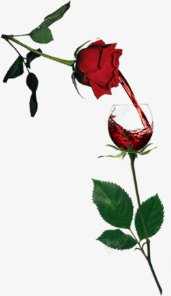 红色玫瑰红酒七夕情人节素材
