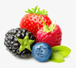 新鲜的食材水果组合蓝莓桑葚新鲜水果高清图片