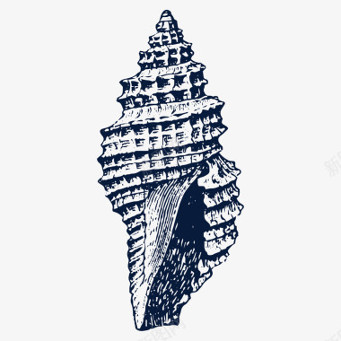 手绘素描动物黑色海螺贝壳素描图标图标