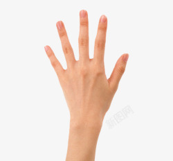 五指伸开的手掌手势图高清图片