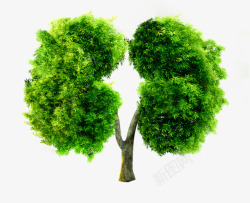 绿色肺部形状树木素材
