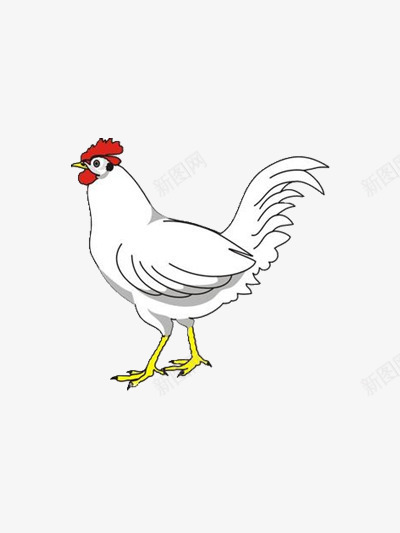 白色的大公鸡png免抠素材_88icon https://88icon.com 动物 图片 鸡年