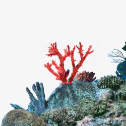 海底石头海底风情高清图片