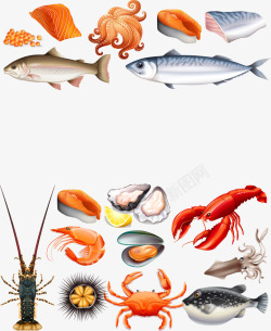 卡通手绘合成海鲜食物素材