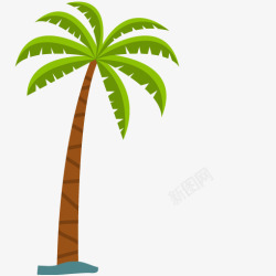 椰棕树叶单棵棕色树干绿色叶子椰棕树高清图片