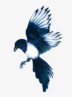 展翅的蓝白鸟卡通手绘图矢量图素材