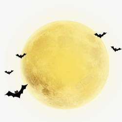 蝙蝠万圣节夜晚的月亮高清图片