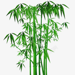 富贵绿叶竹子竹叶漂浮小清新高清图片
