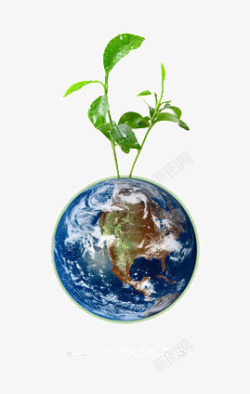 种在地球上面的树苗素材