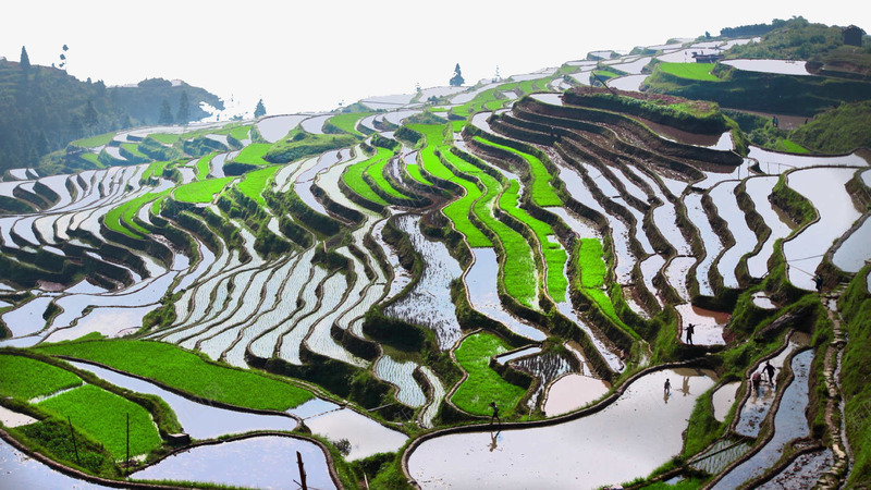 贵州加榜梯田二png免抠素材_88icon https://88icon.com 名胜古迹 旅游风景 著名建筑