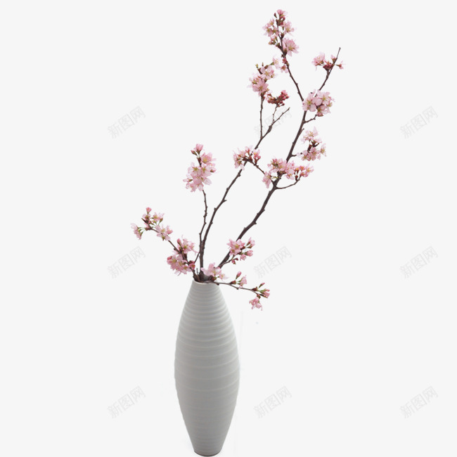 花瓶png免抠素材_88icon https://88icon.com 家居摆件 家居装饰家居摆件 工艺品 盆景 盆栽 花卉 花瓶 鲜花