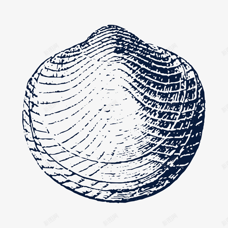 手绘黑色贝壳素描png免抠素材_88icon https://88icon.com 夏天海边 夏天海边海报 手绘贝壳 插画 沙滩 海洋生物 海鲜 生鲜 贝壳 贝壳文 贝壳素描 贝壳纹 贝壳花纹 贝壳装饰 贝类 软体动物