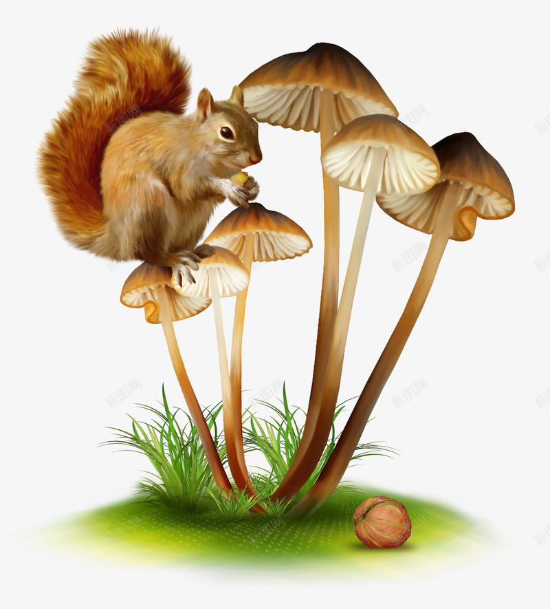 童话世界卡通手绘蘑菇png免抠素材_88icon https://88icon.com 卡通 手绘 松鼠 童话世界 蘑菇