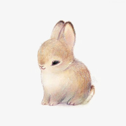 卡通小兔子兔子高清图片
