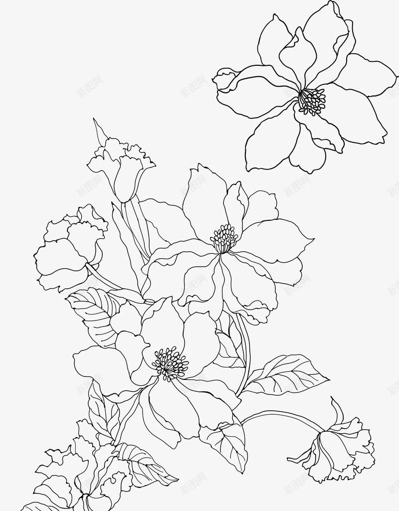 简笔花卉png免抠素材_88icon https://88icon.com 平面装饰 手绘简笔花 植物花朵 矢量装饰 立体手绘 简笔花 线条花卉