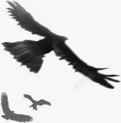 红色飞翔的鹰飞翔的鹰黑色墨迹鹰天空鹰高清图片