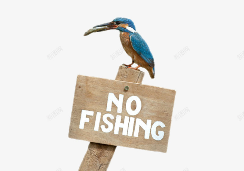 棕色木质醒目警告牌禁止钓鱼png免抠素材_88icon https://88icon.com NOFISHING NoFishing fishing no 不允许 不同意 免扣 免费下载 垂钓 水 河边 牌子 禁止 禁止钓鱼 鱼