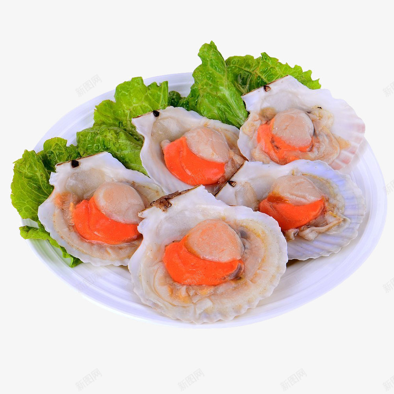 扇贝料理png免抠素材_88icon https://88icon.com 产品实物 海鲜 生菜 食物