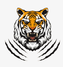 欧美T恤印花动物老虎胸前印花图案矢量图图标高清图片