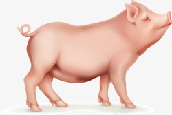 猪头装饰母猪装饰小猪高清图片