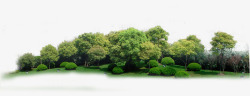 树林屋子绿化树木高清图片