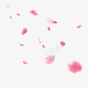 玫瑰花瓣装饰png免抠素材_88icon https://88icon.com 健康 养生 医疗 玫瑰 素材 花瓣 装饰