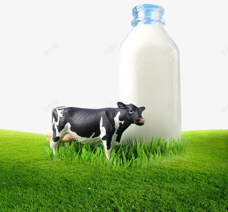 平面牧场牛乳广告psd免抠素材_88icon https://88icon.com 乳牛 奶牛 有机 母牛 牛吃草 牛奶广告 牧场 草原 萌宠牧场 蓝天白云奶牛