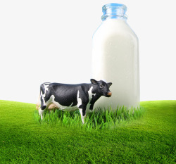 牛吃草平面牧场牛乳广告高清图片