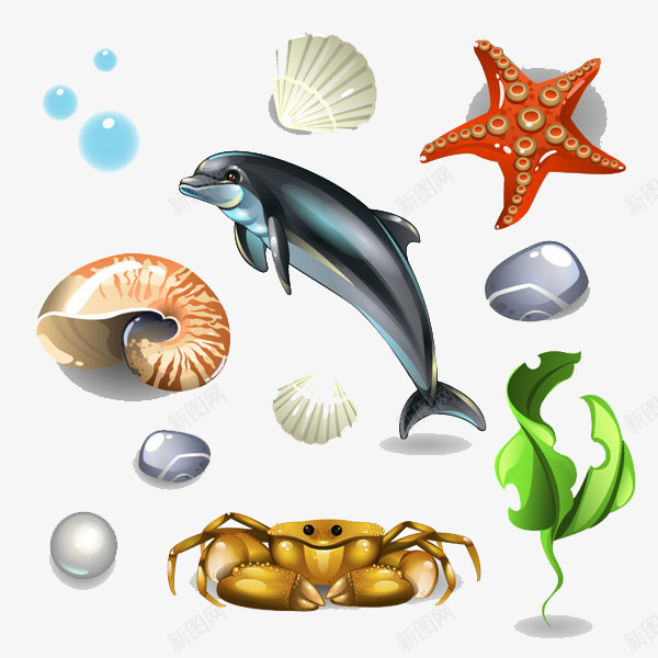 卡通贝壳海鲜类png免抠素材_88icon https://88icon.com 摄影 松坂蟹 松坂蟹图片 水产 河鲜 海鲜 海鲜虾类 餐饮美食