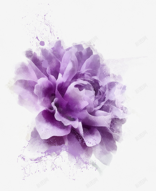 紫色的花png免抠素材_88icon https://88icon.com 优雅 唯美 手绘 泼墨 清新 紫色 背景 颜色