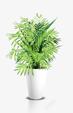 树脂花盆绿色植物花盆高清图片