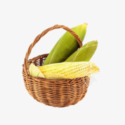 篮子里的黄色玉米棒素材