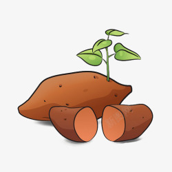 卡通新鲜美味蔬菜红薯插画素材