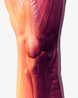 膝盖关节扭伤素材