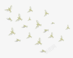 国庆节条码图案和平鸽高清图片