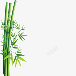 绿色翠竹竹子高清图片