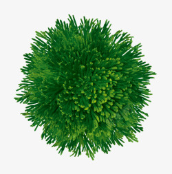 植物绿色海底海藻素材
