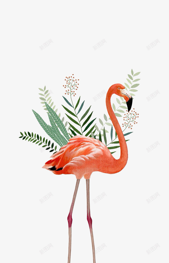红色火烈鸟手绘叶子png免抠素材_88icon https://88icon.com 叶子 火烈鸟 火焰鸟 素材 红色