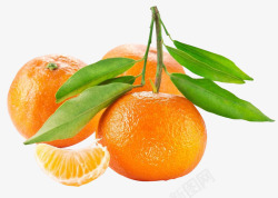 柑橘水果有叶子的橘子高清图片
