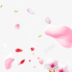 粉色清新花瓣飘舞素材