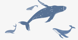 手绘梦幻海洋装饰插图海豚鲸鱼插素材