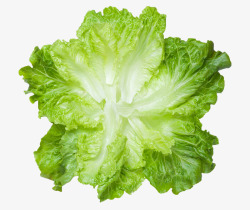 生菜菜叶新鲜绿色生菜叶高清图片