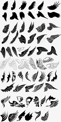 多色多款翅膀集合矢量图高清图片