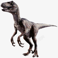 恐龙3D装饰画两腿恐龙高清图片